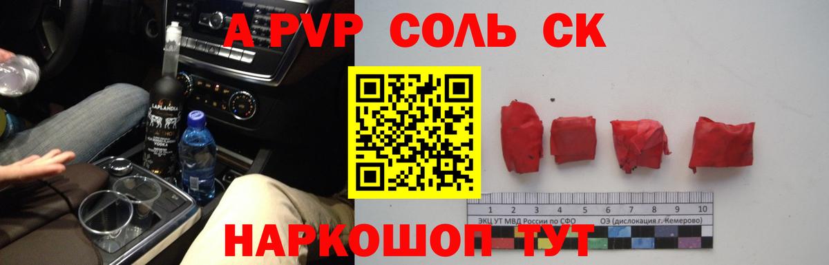 APVP СК Электрогорск