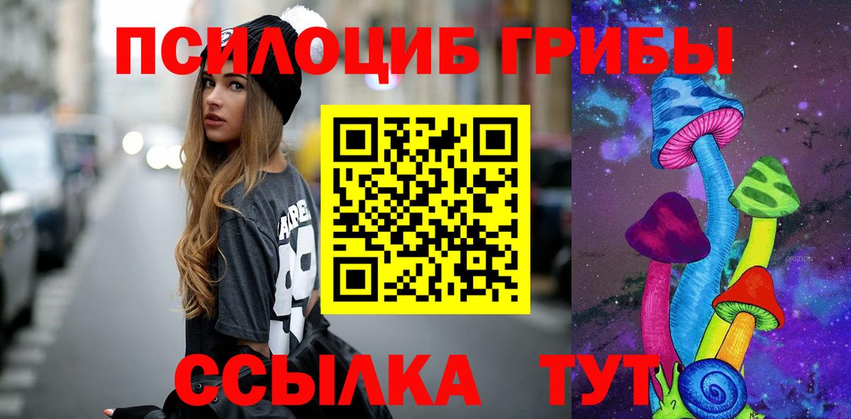 Псилоцибиновые грибы Psilocybine cubensis  Галлюциногенные грибы Psilocybe  Вход с VPN  Электрогорск 