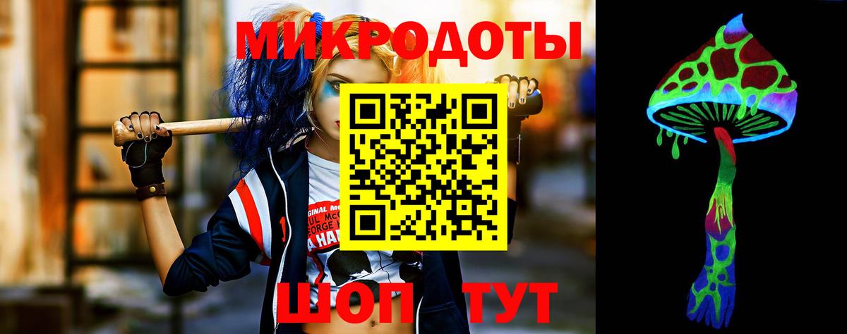 Галлюциногенные грибы Psilocybine cubensis Электрогорск